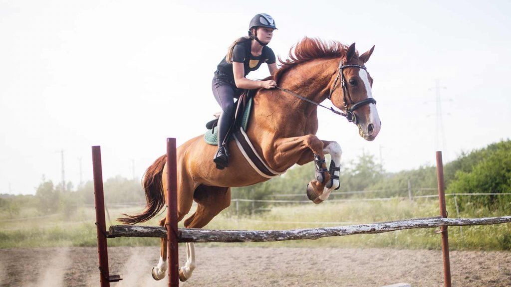 Ireland female jockeys