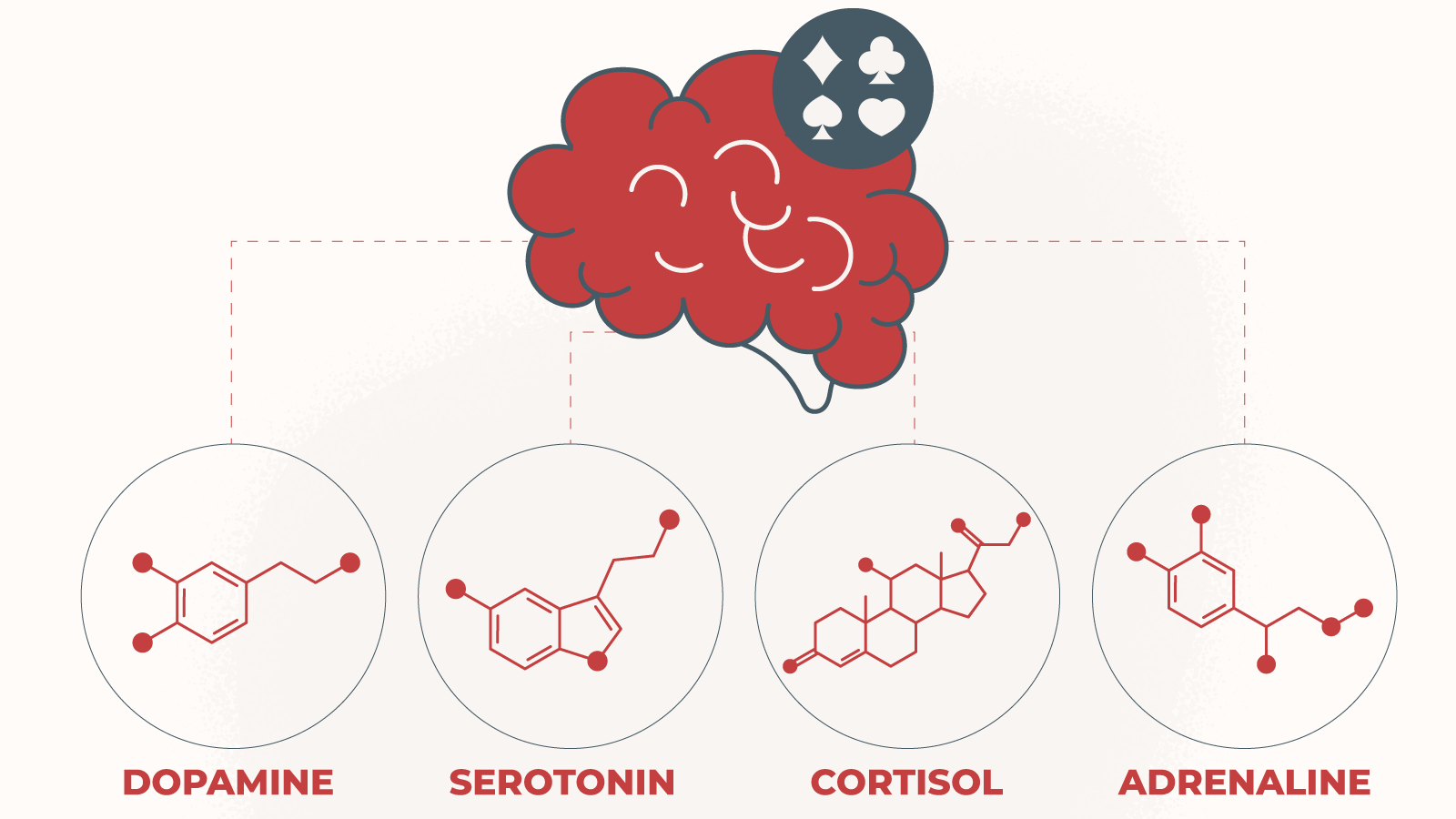 Your brain chemistry while gambling