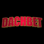 DachBet Casino logo