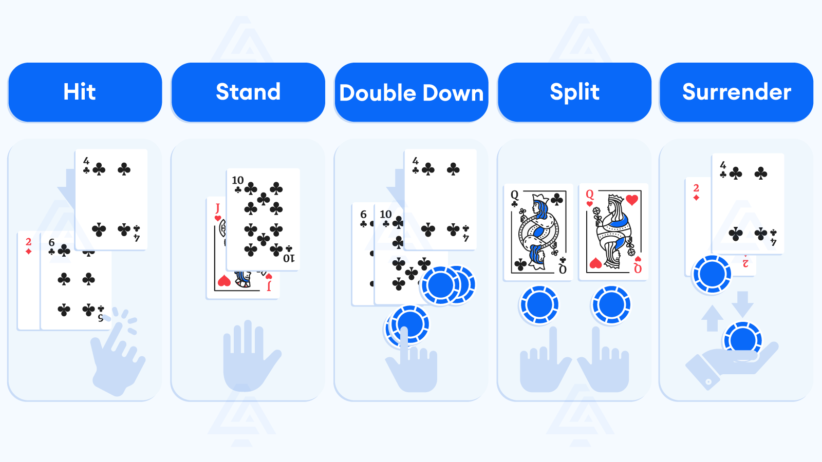 Hit, stand or double down unleashing the power of a Blackjack player’s options