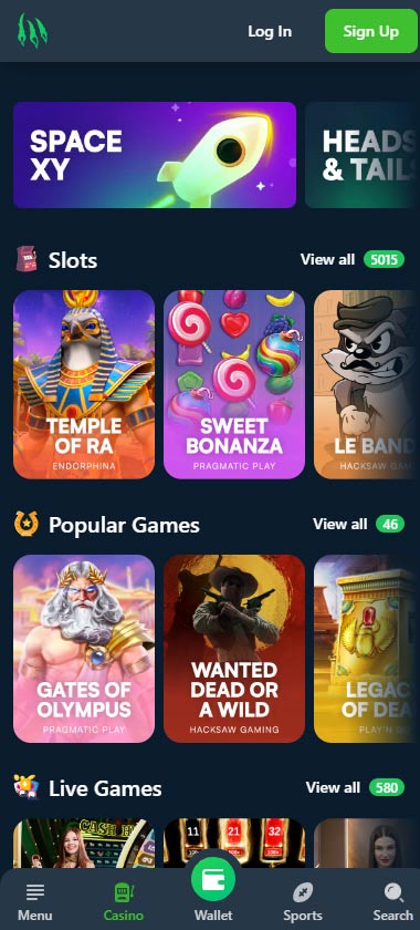 Wild.io Casino game types mobile review