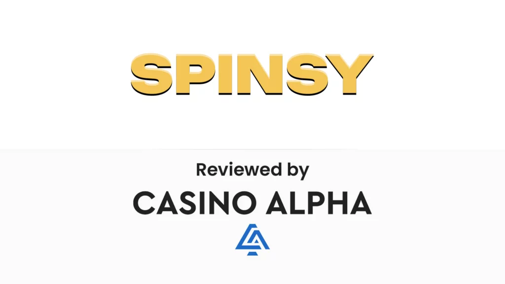 Aperçu du Casino Spinsy